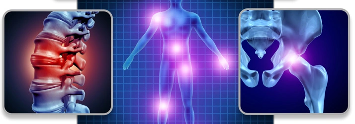 Chiropractic Traverse City MI Fit3D Services Hero Graphic showing human bones with bold colors like red and blue.